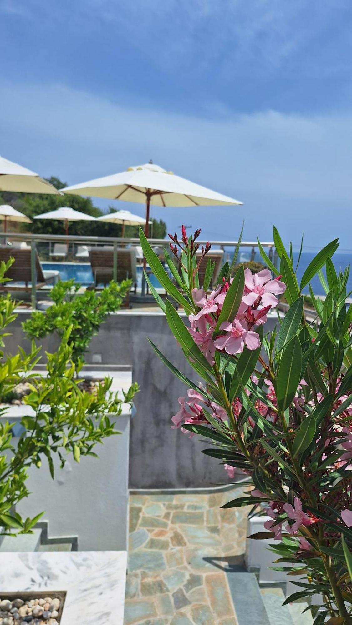 Hotel Sarti Thea Extérieur photo